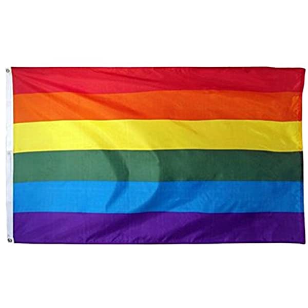 Rainbow Flag Gay Pride Large Indoor Outdoor LGBT - Festival Diversity Celebration 90cm x 150cm -OzStore
